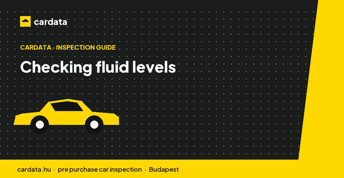 A hand checking the coolant and brake fluid reservoirs under the bonnet during a routine monthly inspection.