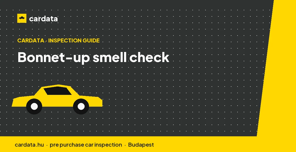 An inspector leans over a cold engine bay to locate the source of a burning oil smell around the exhaust manifold.